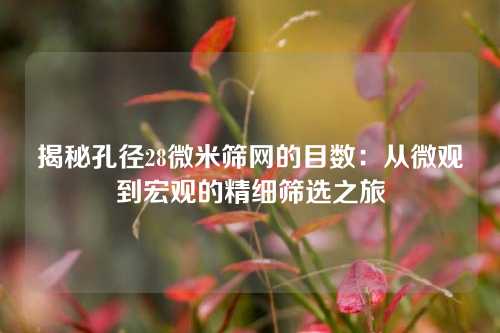 揭秘孔径28微米筛网的目数：从微观到宏观的精细筛选之旅