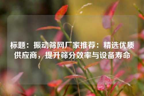 标题:振动筛网厂家推荐:精选优质供应商,提升筛分效率与设备寿命
