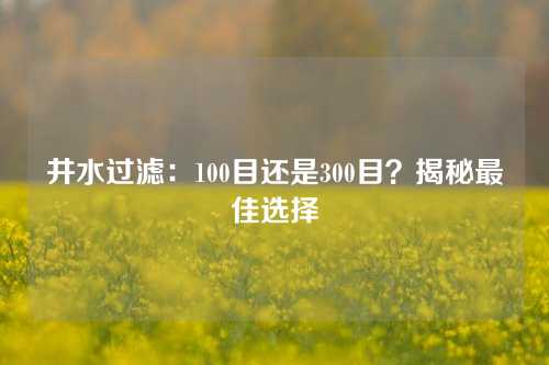 井水过滤：100目还是300目？揭秘最佳选择