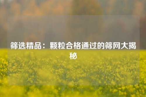 筛选精品：颗粒合格通过的筛网大揭秘
