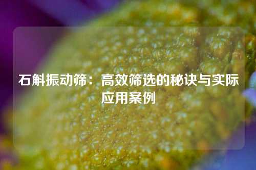 石斛振动筛：高效筛选的秘诀与实际应用案例