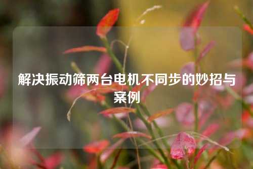 解决振动筛两台电机不同步的妙招与案例