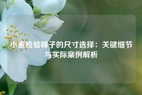 小麦检验筛子的尺寸选择：关键细节与实际案例解析