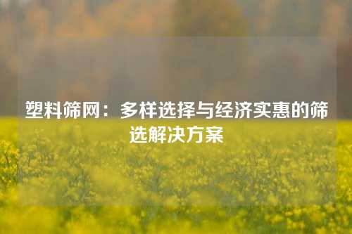 塑料筛网:多样选择与经济实惠的筛选解决方案