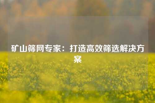 矿山筛网专家：打造高效筛选解决方案