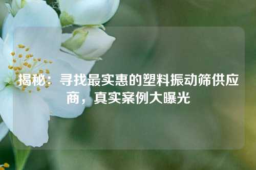 揭秘：寻找最实惠的塑料振动筛供应商，真实案例大曝光