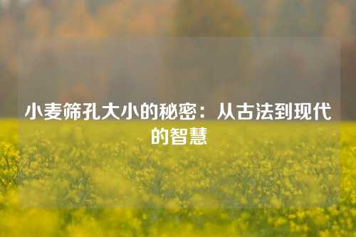 小麦筛孔大小的秘密：从古法到现代的智慧