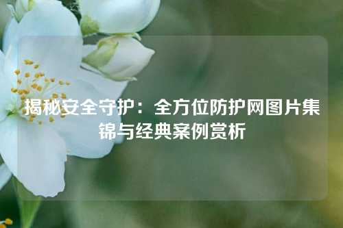 揭秘安全守护:全方位防护网图片集锦与经典案例赏析