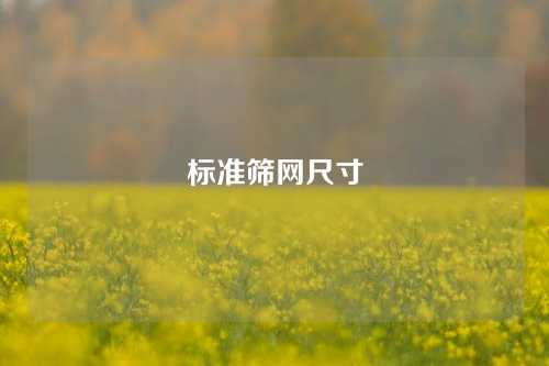 标准筛网尺寸