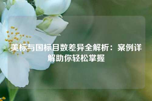 美标与国标目数差异全解析：案例详解助你轻松掌握