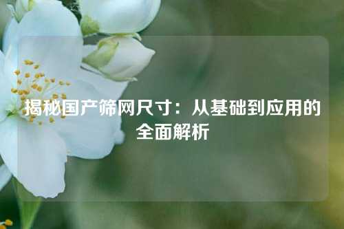 揭秘国产筛网尺寸：从基础到应用的全面解析