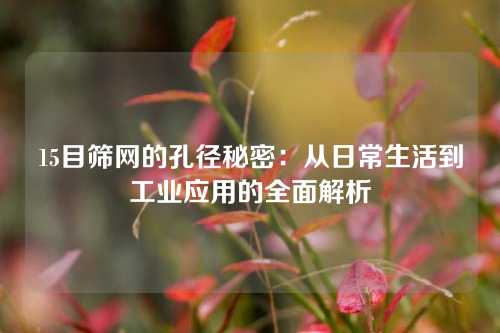 15目筛网的孔径秘密：从日常生活到工业应用的全面解析