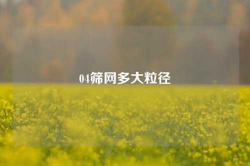 04筛网多大粒径