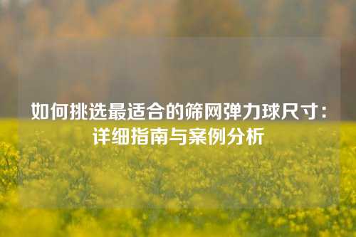 如何挑选最适合的筛网弹力球尺寸：详细指南与案例分析