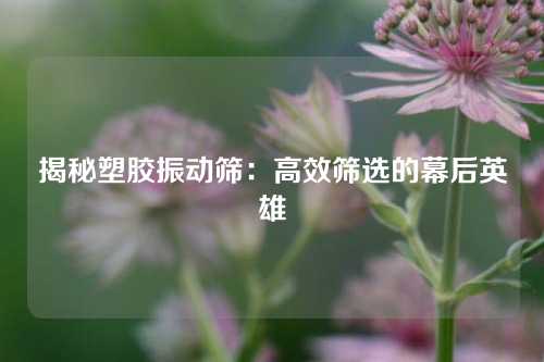 揭秘塑胶振动筛：高效筛选的幕后英雄