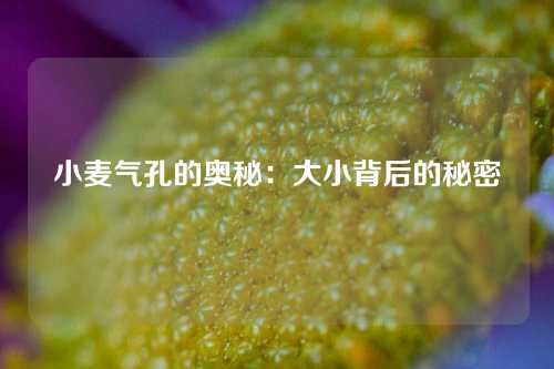 小麦气孔的奥秘：大小背后的秘密