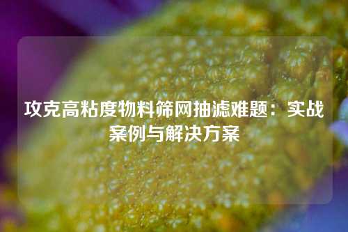 攻克高粘度物料筛网抽滤难题:实战案例与解决方案