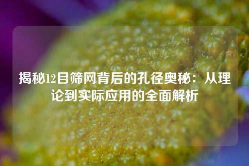 揭秘12目筛网背后的孔径奥秘：从理论到实际应用的全面解析