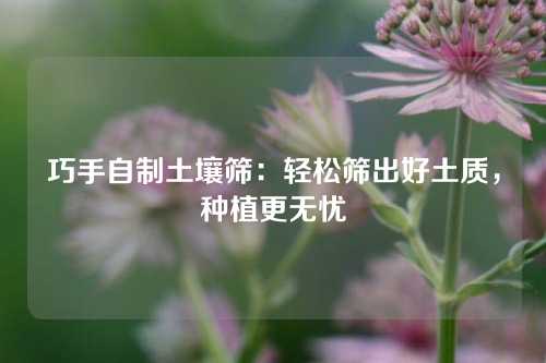 巧手自制土壤筛：轻松筛出好土质，种植更无忧