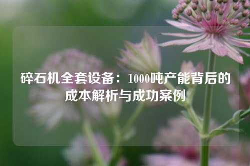 碎石机全套设备：1000吨产能背后的成本解析与成功案例