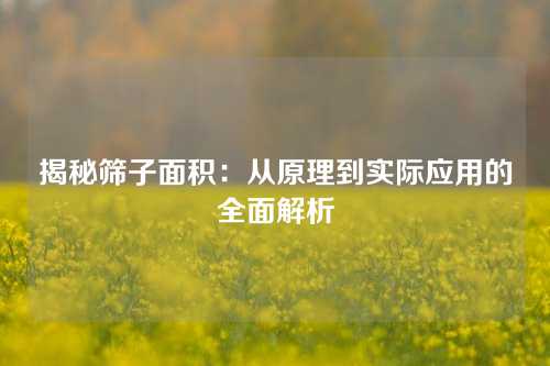 揭秘筛子面积：从原理到实际应用的全面解析