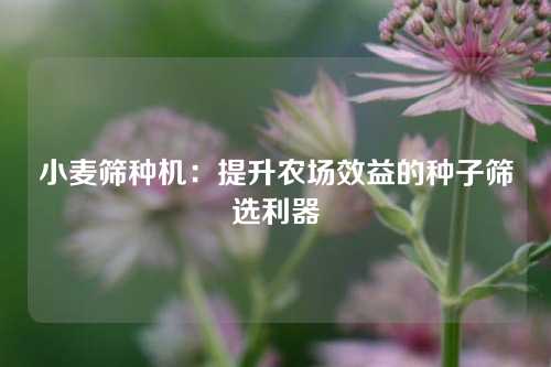 小麦筛种机:提升农场效益的种子筛选利器