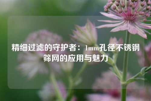 精细过滤的守护者：1mm孔径不锈钢筛网的应用与魅力