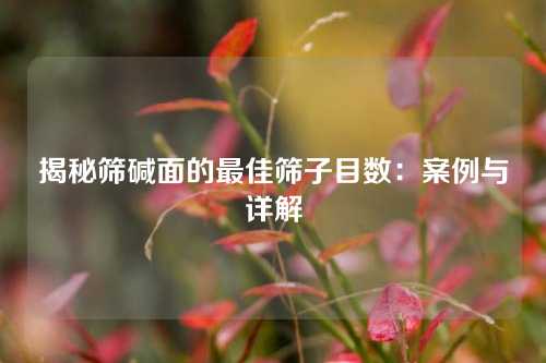 揭秘筛碱面的最佳筛子目数：案例与详解
