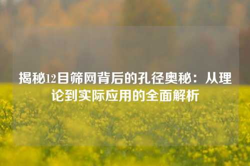 揭秘12目筛网背后的孔径奥秘：从理论到实际应用的全面解析