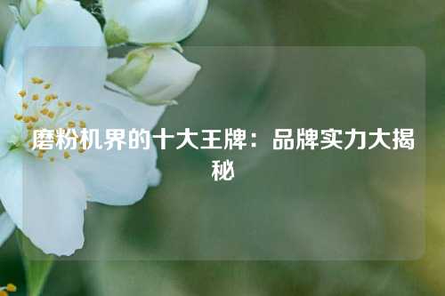 磨粉机界的十大王牌：品牌实力大揭秘