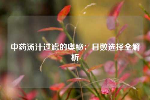 中药汤汁过滤的奥秘：目数选择全解析