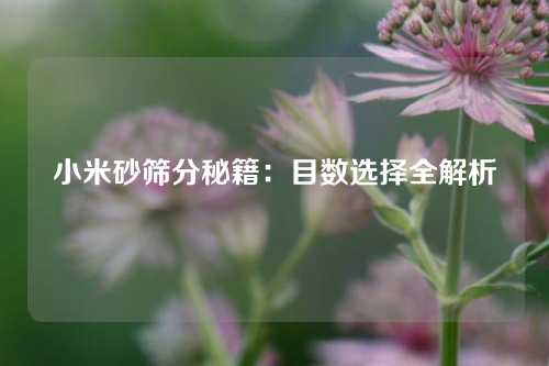 小米砂筛分秘籍：目数选择全解析