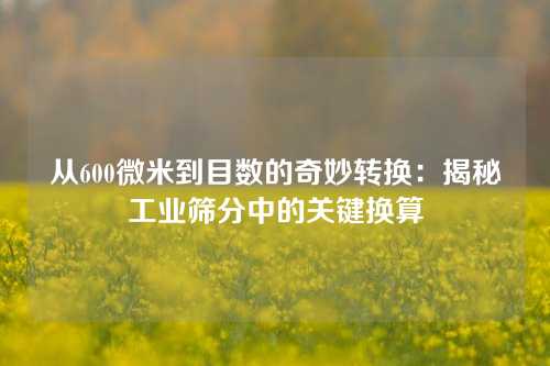 从600微米到目数的奇妙转换：揭秘工业筛分中的关键换算