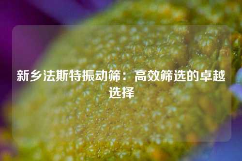 新乡法斯特振动筛：高效筛选的卓越选择