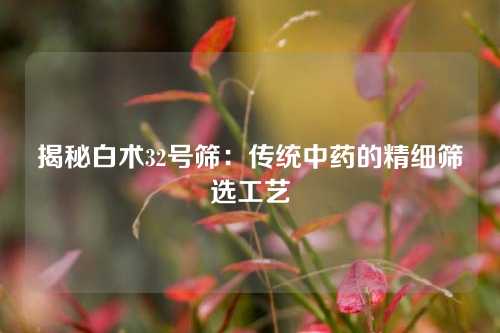 揭秘白术32号筛：传统中药的精细筛选工艺