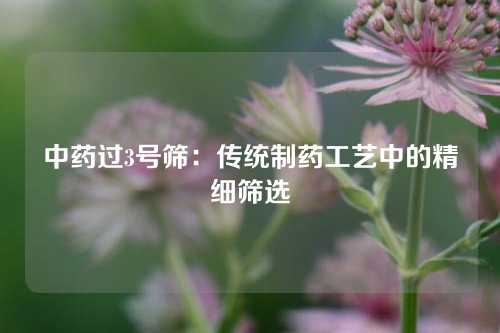 中药过3号筛：传统制药工艺中的精细筛选