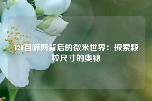 120目筛网背后的微米世界：探索颗粒尺寸的奥秘