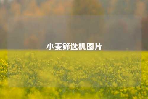 小麦筛选机图片