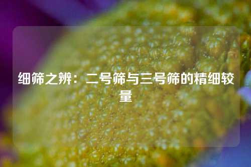 细筛之辨：二号筛与三号筛的精细较量