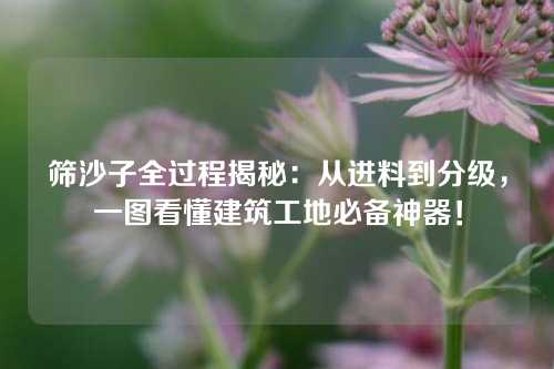 筛沙子全过程揭秘:从进料到分级,一图看懂建筑工地必备神器!