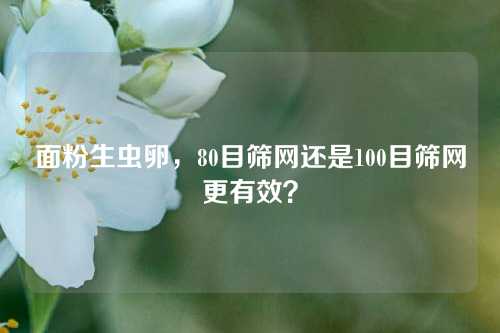 面粉生虫卵，80目筛网还是100目筛网更有效？