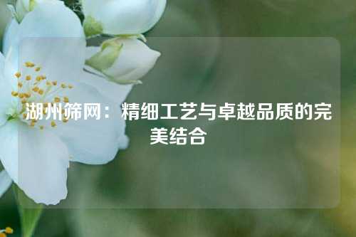 湖州筛网：精细工艺与卓越品质的完美结合