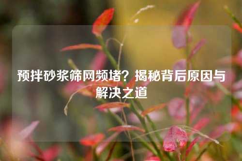 预拌砂浆筛网频堵？揭秘背后原因与解决之道