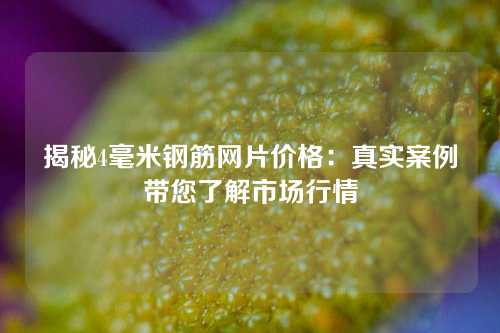 揭秘4毫米钢筋网片价格：真实案例带您了解市场行情