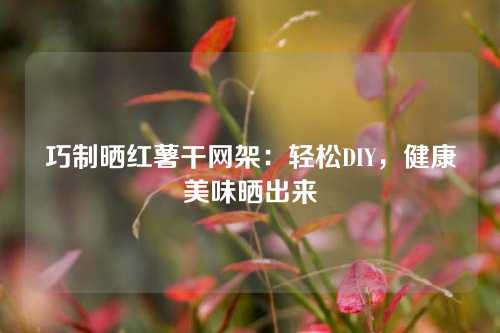 巧制晒红薯干网架:轻松DIY,健康美味晒出来