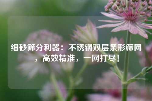 细砂筛分利器：不锈钢双层条形筛网，高效精准，一网打尽！
